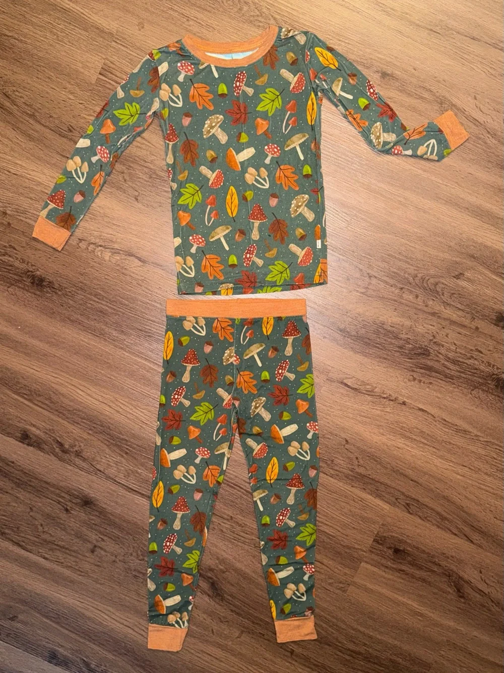 Little Sleepies Fall & Halloween PJ Sets (3-4T)